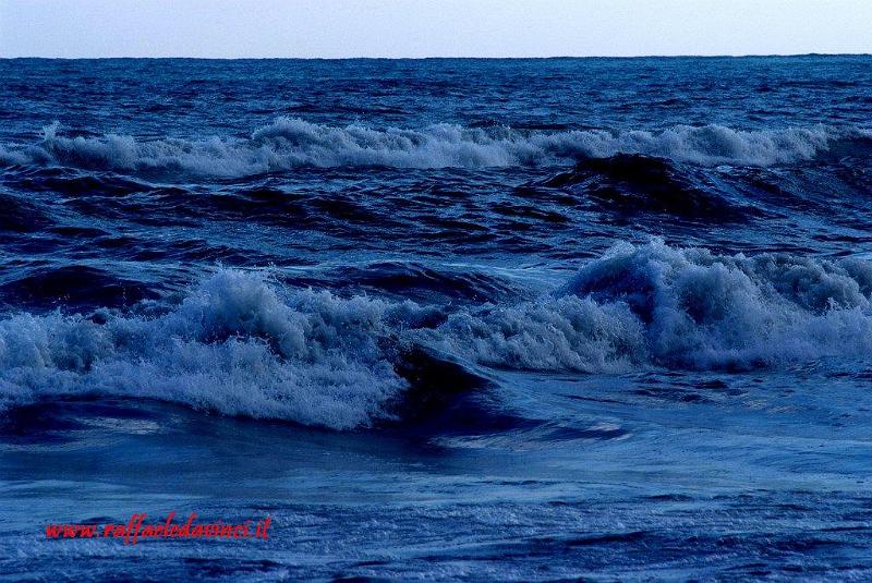 Mare di Avola 1gen08 (14).jpg